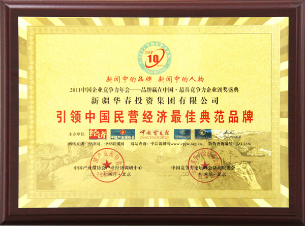2011引领中国民营经济最佳典范品牌